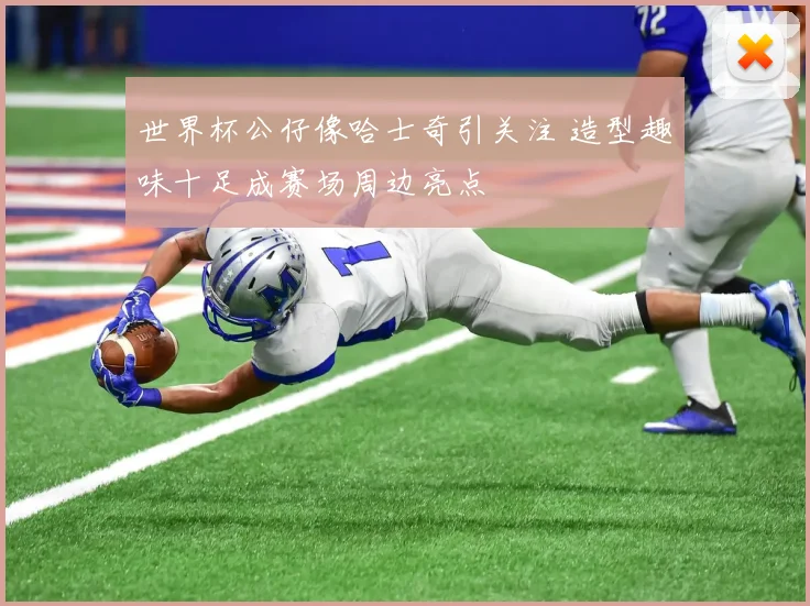 世界杯公仔像哈士奇引关注 造型趣味十足成赛场周边亮点